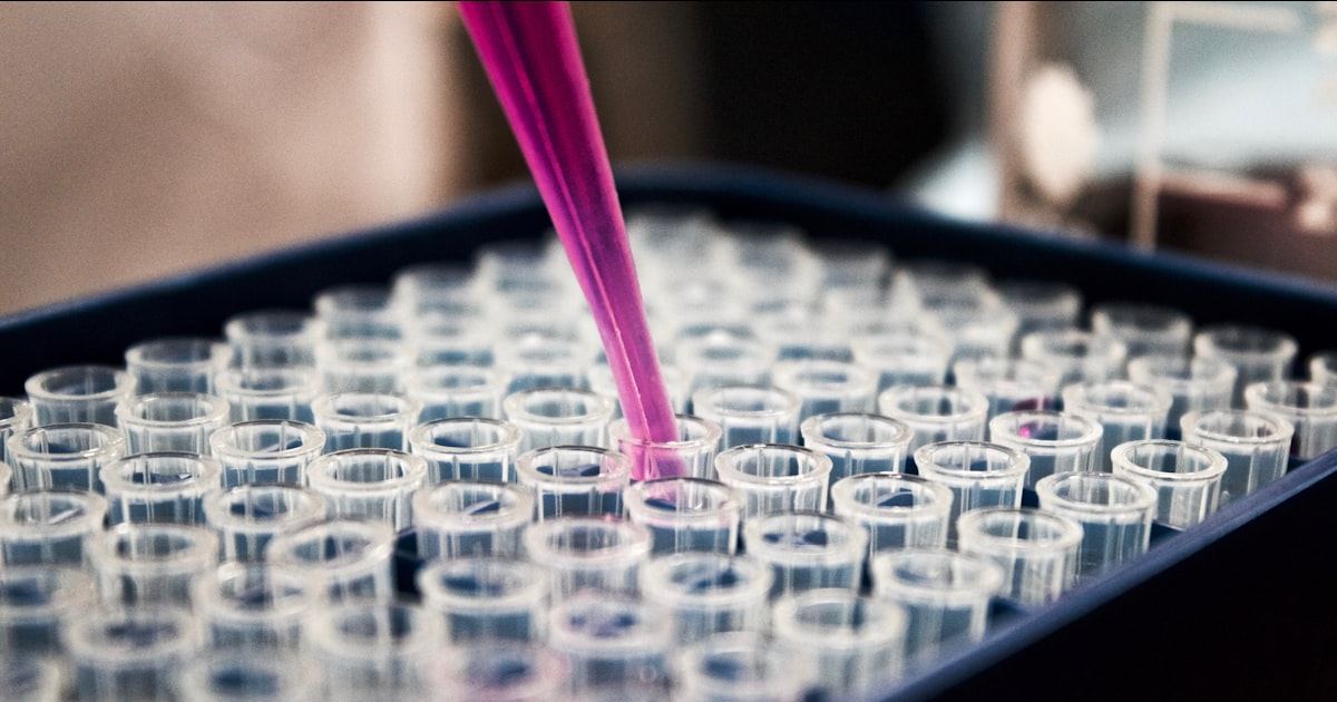 Embryology laboratory technician pipetting medium into rows of cryopreservation vials